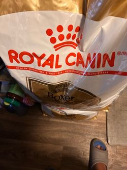 1 each Big dogs food