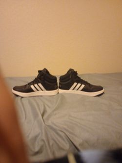 Adidas no box