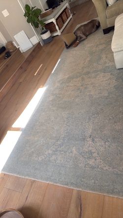 Pottery Barn Wool Rug