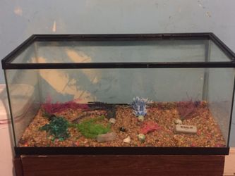 50 gallon fish tank