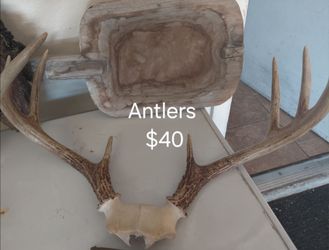 Antlers