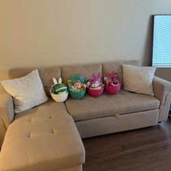 Small pullout storage couch