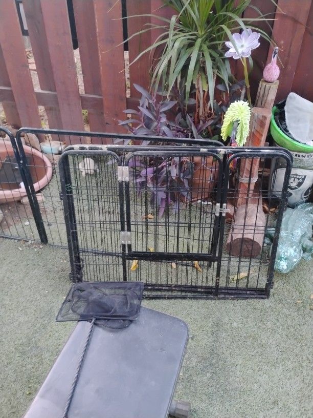 A Dog Fance EnClosure