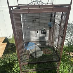 Bird Cage