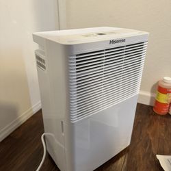 Hisense Dehumidifier 