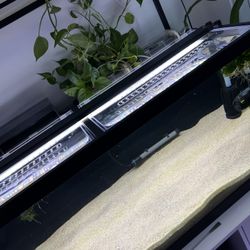 Custom Lids For 75 Gallon Aquarium With New Filter