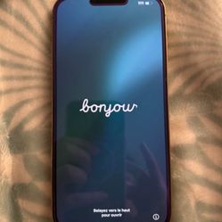 iPhone 13 Pro Max AT&T  And Cricket 