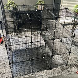 CAT LARGE INDOOR or OUTDOOR 