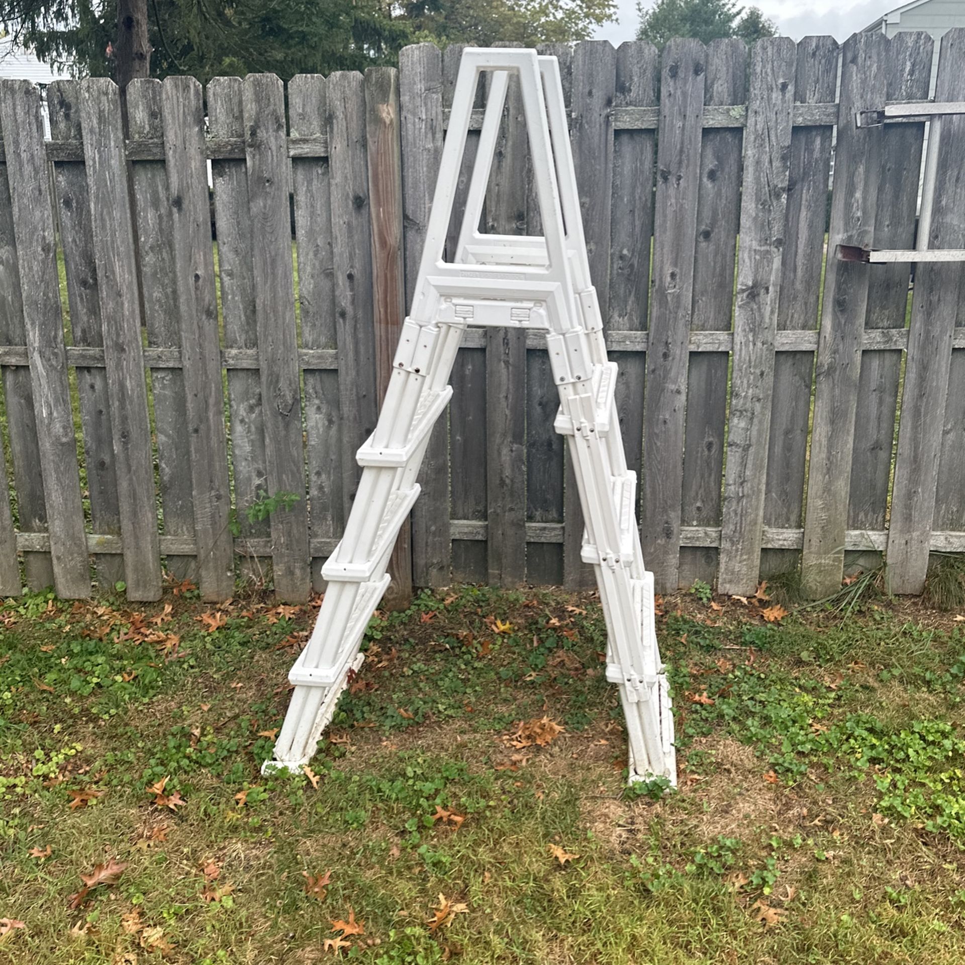 Pool ladder 300 Best Offer
