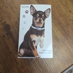 Small Size Dog Training Collar