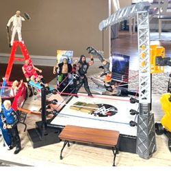 Wwe Action Figure And Accessories Collection