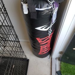 Everlast  Punching Bag