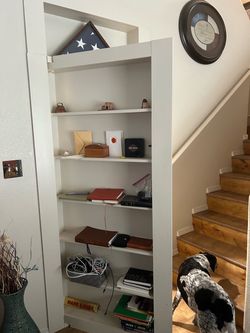 Hideaway/Saferoom door