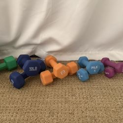 Full Dumbbell Set – 6 Pairs (3 to 12 lb)
