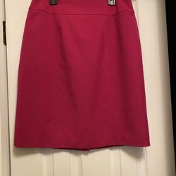 Ladies Skirt Size 8 By Worthington