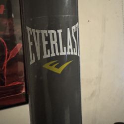 EverLast Punching Bag W Stance NO GLOVES 