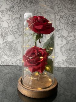 Roses in glass dome with lights