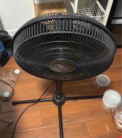 Fan