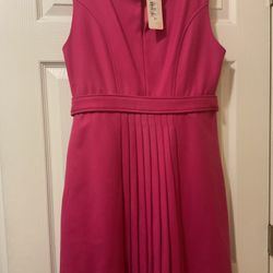 Pink Dress Valentino 