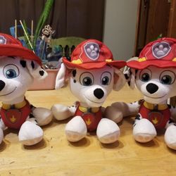 Paw Patrol 