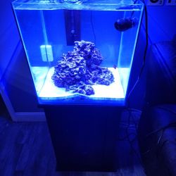20 Gallon Saltwater Water Tank