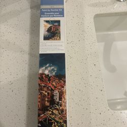 Paint By Numbers Kit 