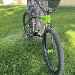 Slimer 29er