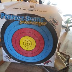 Used But Not Abused Archery Target