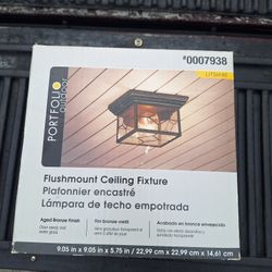 Ceiling Light Fixture 