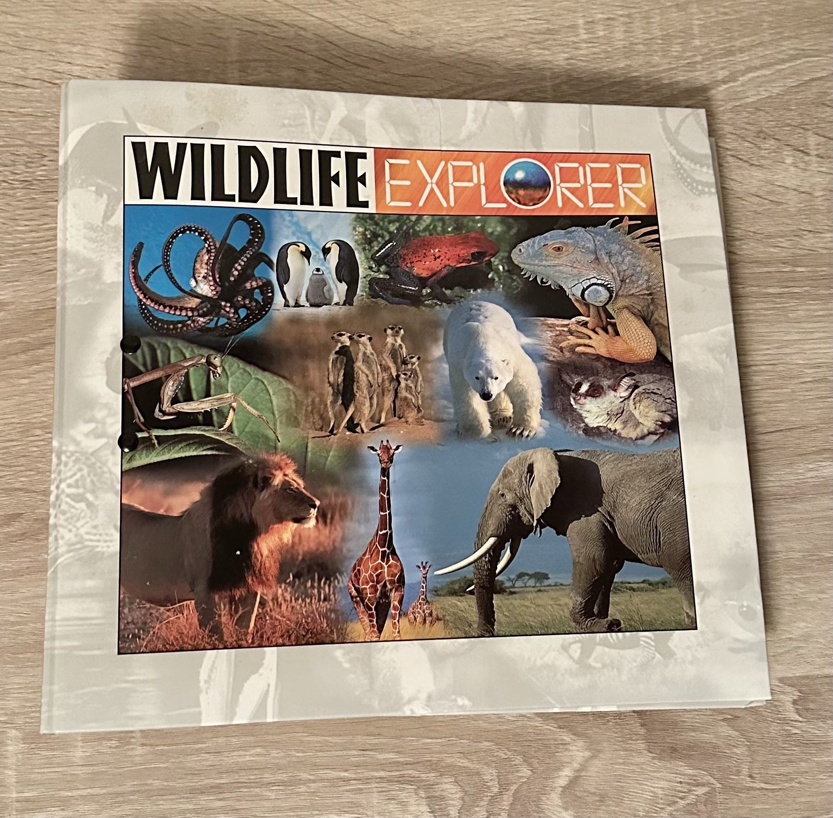 Educational Nature Binders