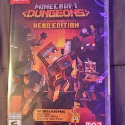 Minecraft Dungeons Hero Edition 