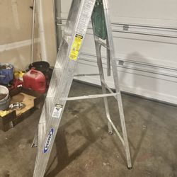 Werner 5ft Ladder 