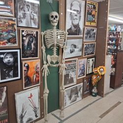 Skeleton, Art,mail Box Covers,photos, Barbies, Lamps,sports Items, Football  Stuff 