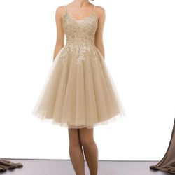 Prom /Quinceañera Dress 