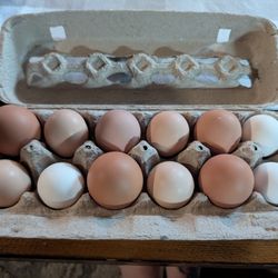 Farm Fresh Eggs 