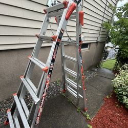 Little Giant Extreme 22’ Ladder