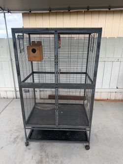 bird cage