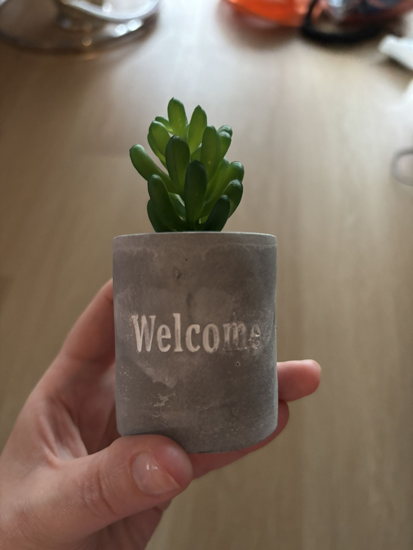 Welcome Fake Plant Decoration