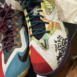 Lebron Jordan Sneaker