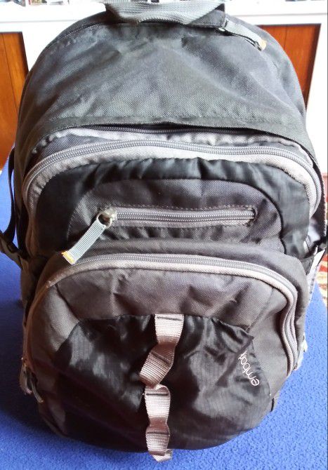 Backpack In Excellent Condition