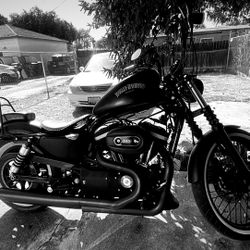 Harley Davidson 