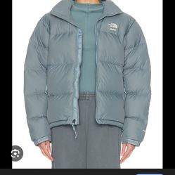 Skims X North Face Puffer