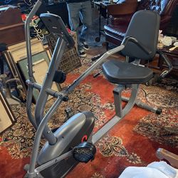 Sunny Recumbent Exercise Bicycle Bike 