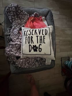 Pillow and dog bed