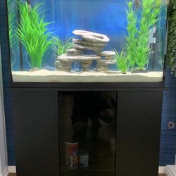 Marineland 45 Gallon Aquarium With Stand, Filter, Heater, Pump, And Decorations