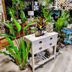 Accent/Entry cabinet