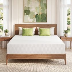Twin XL Mattress 10 Inch
