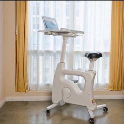 Flexispot Desk Bike V9