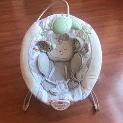 Baby Bouncer