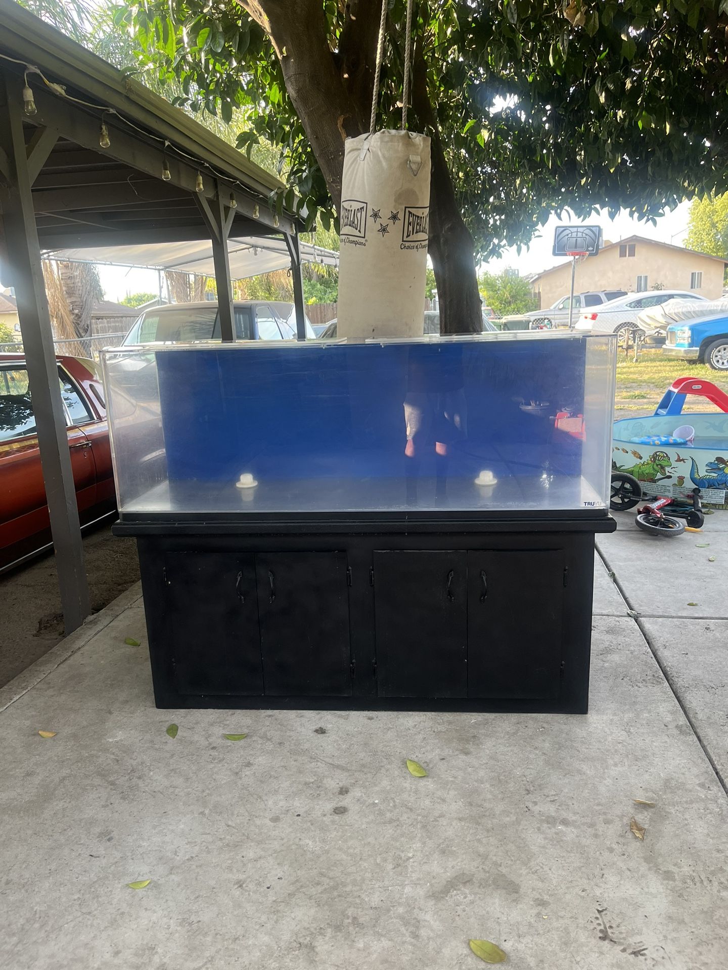 60” By 18w TruVu 100 Gallon Fish Tank